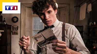 image de la news Les Animaux fantastiques sur TF1 : cet acteur français a dit non aux Crimes de Grindelwald