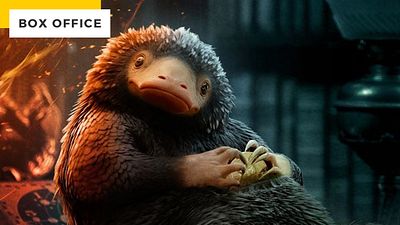 image de la news Harry Potter : des animaux pas si fantastiques au box-office US