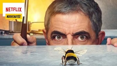 image de la news Un homme vs. Une abeille : cette série Netflix va vous faire délirer !