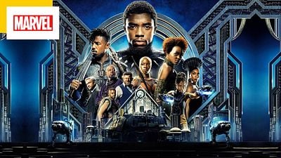 image de la news Black Panther 2 : LEGO a-t-il révélé l'identité du nouveau super-héros Marvel ?