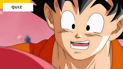 image de la news Quiz Dragon Ball Super : seul un fan hardcore fera 10/10 !