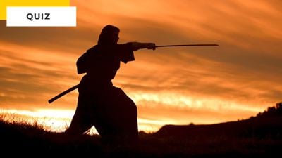 Quiz cinéma : de quels films sont tirés ces 9 samouraïs ?