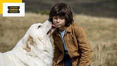 Belle et Sébastien Nouvelle génération : qui joue le jeune héros ?