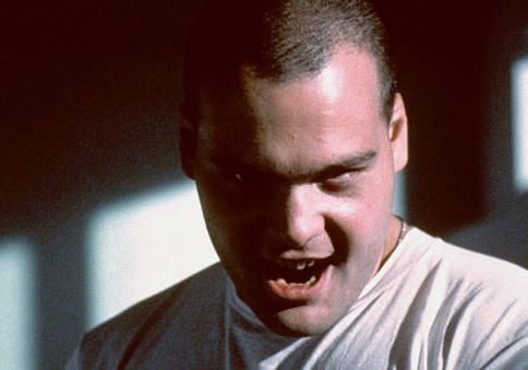 image de la news "Si de Niro peut le faire, moi aussi" : Vincent D'Onofrio raconte comment il a été…