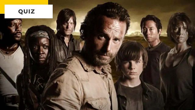 image de la news Quiz Walking Dead : si tu fais plus de 8/10, tu es Daryl ou tu es Michonne !