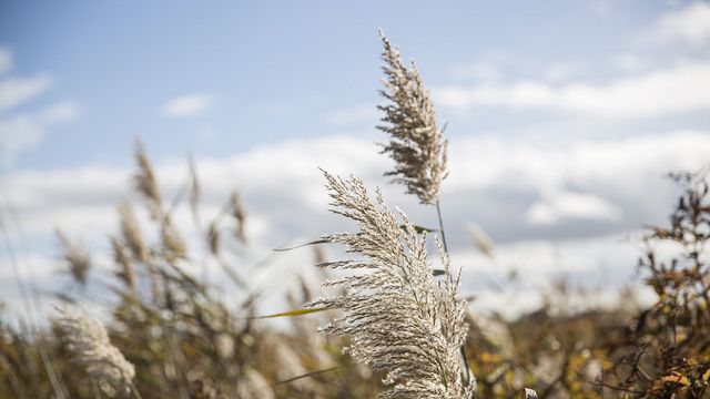image de la news Un nouveau programme dérivé de L’amour est dans le pré avec d’anciens candidats arrive sur M6