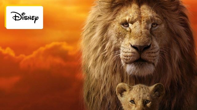 Avant Le Roi Lion, il y avait Mufasa : que sait-on du film Disney centré sur le père de Simba ?