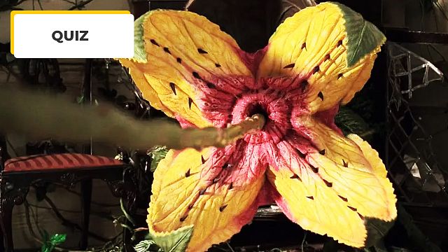 image de la news Quiz Cinéma : si vous reconnaissez ces 10 films, on vous offre des fleurs !