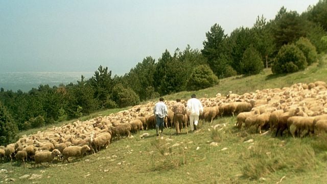 image de la news Depuis 29 ans, on se demande ce qui a bien pu arriver aux deux héros de cette célèbre comédie française