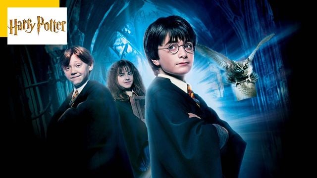 Harry Potter : la pièce L'Enfant maudit enfin adaptée au cinéma ?