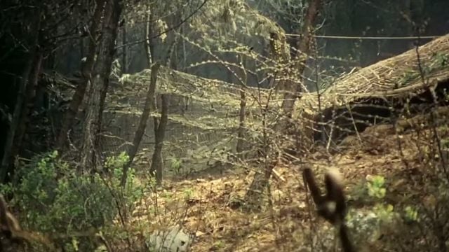 image de la news Cette scène d'ouverture de film est un chef-d'oeuvre absolu, et reste 47 ans après une des meilleures jamais réalisées