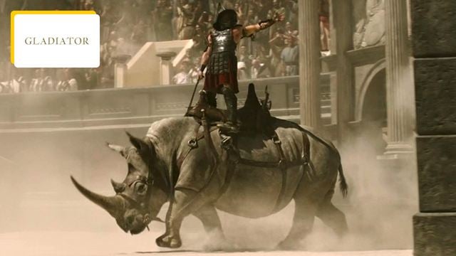 Gladiator 2 : les gladiateurs affrontaient-ils vraiment des animaux sauvages ? Un historien nous répond