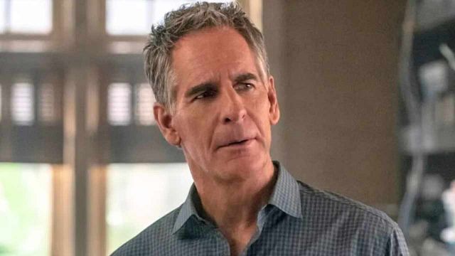 image de la news NCIS Origins : voici l'acteur qui incarnera la version jeune de Pride (Scott Bakula) dans le prequel !