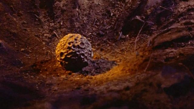 image de la news Depuis 65 ans, personne n’appelle ce célèbre film de science-fiction par son vrai titre