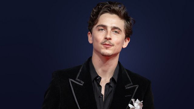 image de la news Révélé dans Homeland, Timothée Chalamet révèle si oui ou non il compte revenir à la télévision...