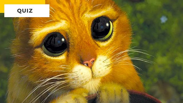 image de la news Quiz Cinéma : saurez-vous reconnaître tous ces chats ?