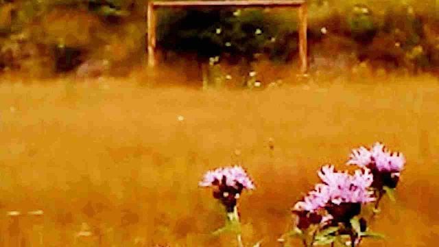 image de la news "Un choc cinématographique dont on ne se remet pas tout à fait" : noté 4,3 sur 5, c'est le film à voir absolument cette semaine !