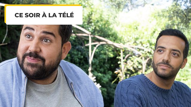 image de la news Ce soir à la télé : avant Un P'tit truc en plus, Artus avait joué dans cette comédie rafraîchissante avec Tarek Boudali