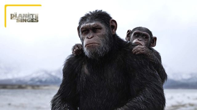 "Un joyau de la science-fiction" : noté 4,1 sur 5, c'est le meilleur film de la saga La Planète des singes