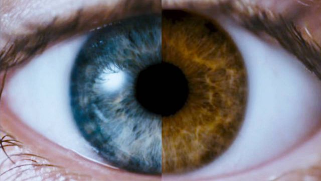 image de la news Ce soir sur Netflix : fuir est la seule option dans ce thriller psychologique qui cartonne sur la plateforme