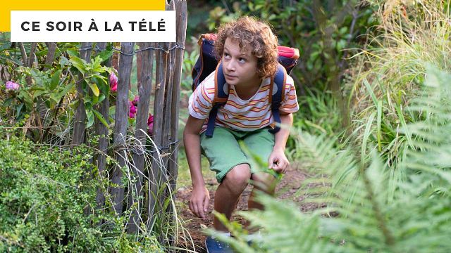 image de la news Ce soir à la télé : vous avez aimé Ducobu ? Vous allez adorer cet irrésistible sale gosse !