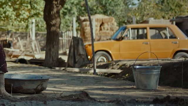 image de la news Le meilleur film de la semaine est "une merveille"