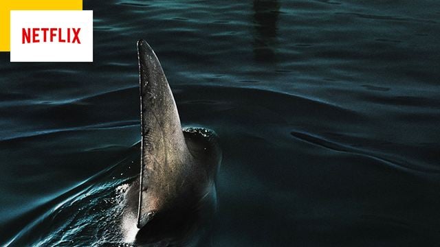 Netflix : un requin envahit la Seine pour Paris 2024 !