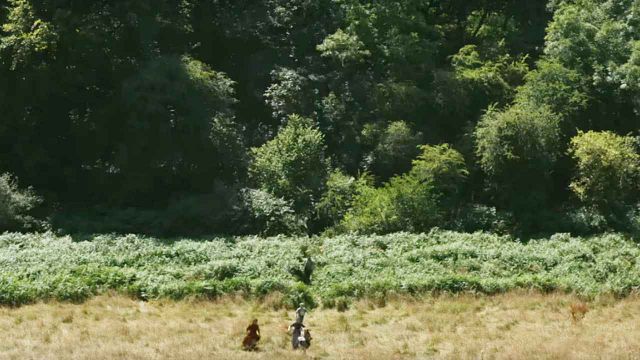 image de la news "Onirique et bouleversant !" : noté 3,8 sur 5, c'est le film à voir absolument cette semaine !