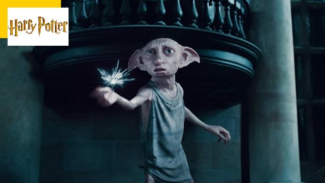 Fans d'Harry Potter, ne laissez plus vos chaussettes sur le mémorial de Dobby !