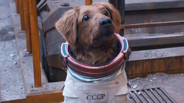 image de la news "De qualité, humaniste et puissant" : noté 4,2 sur 5, c'est le meilleur film fantastique de l'année 2023... Et c'est la fin d'une saga culte qui nous manque beaucoup aujourd'hui !