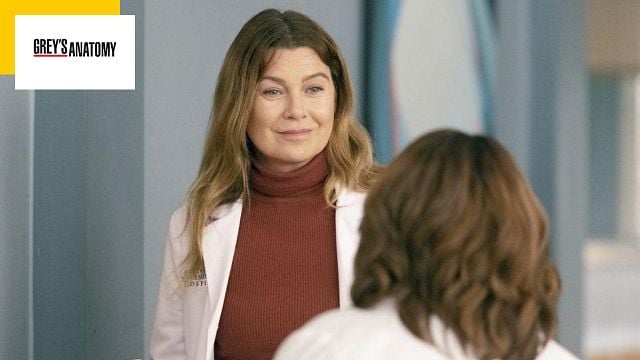 Grey's Anatomy : après Ellen Pompeo, une autre figure majeure va faire ses adieux à la série