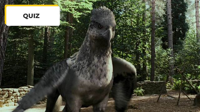 image de la news Quiz Cinéma : 8 questions pour les fans d'Harry Potter !