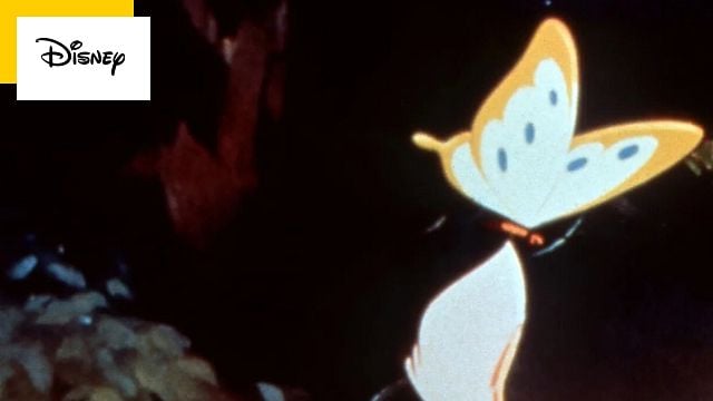 image de la news 10 millions d'entrées : le plus déchirant des films Disney arrive en live action