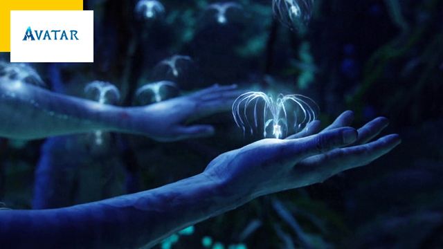 Avatar : ce clin d'oeil à Titanic que James Cameron lui-même n'avait pas remarqué