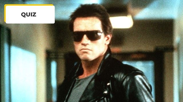 Quiz Cinéma : si tu fais 7/7, tu es le plus grand fan de Schwarzenegger !