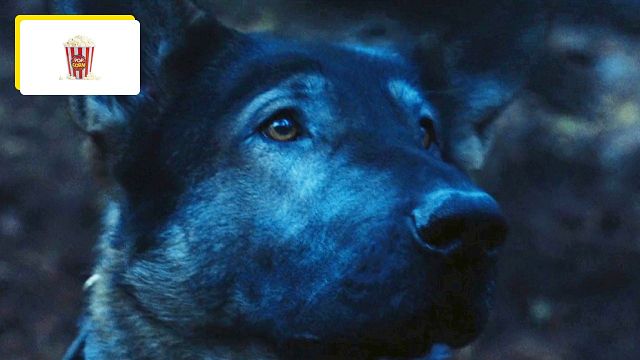 image de la news "Ce que l'on fait dans sa vie..." : prononcée il y a 24 ans dans l'un des films les plus épiques de tous les temps, cette réplique résonne encore dans le coeur des spectateurs