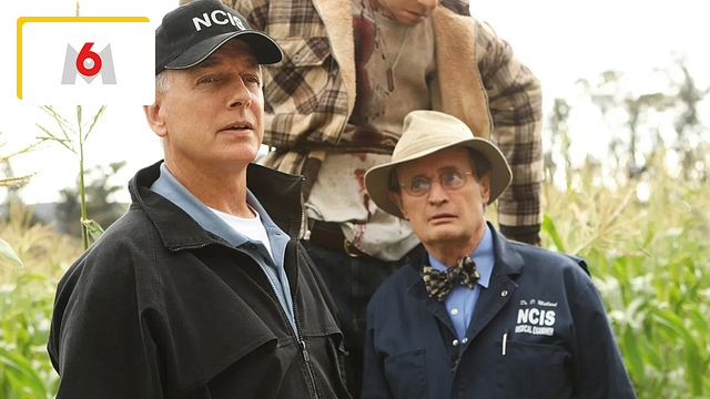 image de la news NCIS : quel personnage apparaît dans le plus d'épisodes ? Son identité va vous surprendre