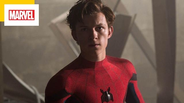 C'est une première chez Marvel : la trilogie Spider-Man avec Tom Holland a désormais un nom !