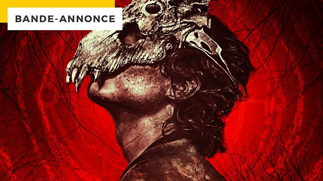 image de la news Horreur : Stephen King valide ce nouveau film qui débarque en streaming ! Découvrez la bande-annonce