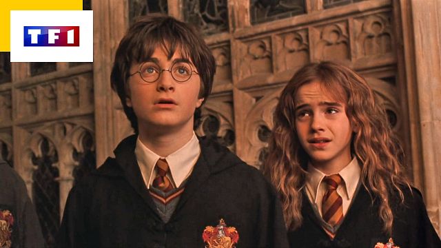 image de la news Harry Potter 2 : faites pause à 1 heure 13 et 54 secondes pour un clin d’œil au Seigneur des Anneaux dans La Chambre des secrets