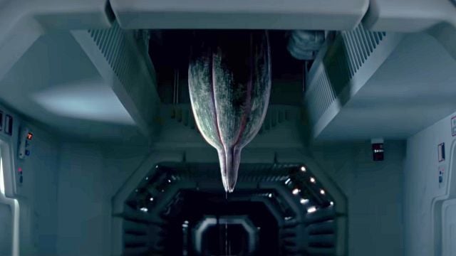image de la news Vous aimez les monstres ? Cette série de science-fiction adaptée d'une saga légendaire vous en promet plein !