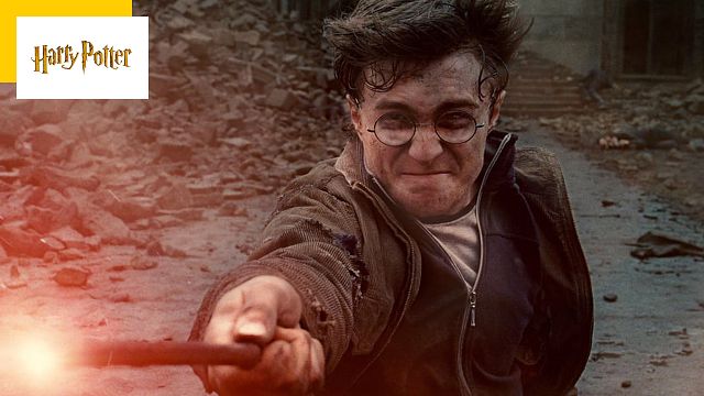 image de la news Harry Potter : un média US supplie Warner de renoncer au reboot