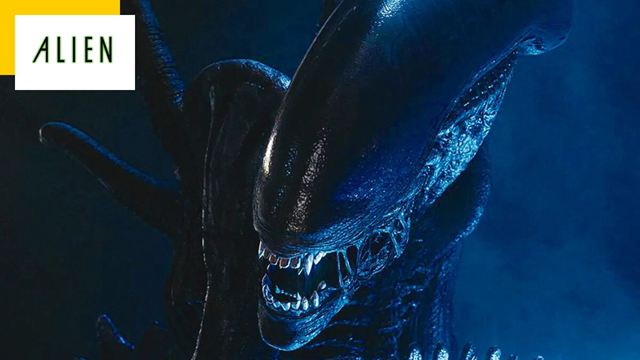 Alien 2024 : une révélation importante pour ceux qui attendent Romulus, le 9ème film de la saga culte