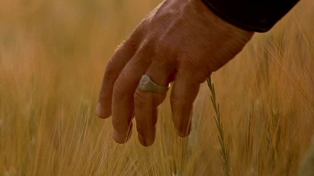 image de la news Dernière chance sur Netflix : noté 4,5 sur 5, ce chef-d'oeuvre sorti il y a 25 ans fait partie des classiques qu'il faut avoir vus une fois dans sa vie !