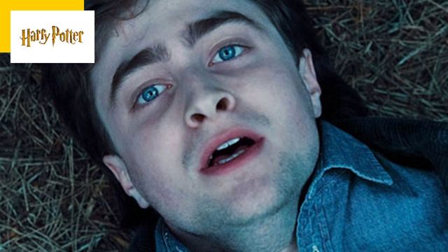 "C'est un peu de l'esbroufe" : la fin de ce Harry Potter a failli être très décevante