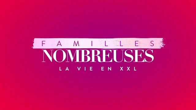 image de la news Familles nombreuses : "On a eu un pack avec l'hôtel", la production a-t-elle aidé une maman à avoir des places pour le concert de Céline Dion ?