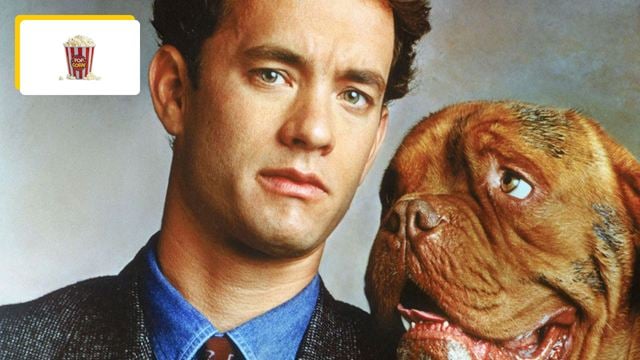 "Le chien est devenu mon ami, mais pas l'acteur" : il y a 35 ans, le courant n'est pas passé entre Tom Hanks et son réalisateur