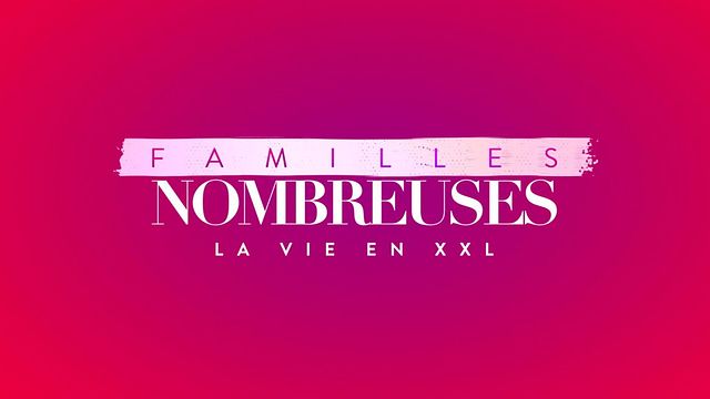 image de la news Familles nombreuses : une tribu face aux incendies dans le Sud de la France, "on attend les instructions"