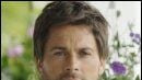 Castings en séries : Rob Lowe dans "Brothers & Sisters"