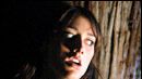 image de la news "Masters of Horror", saison 2 sur Canal +